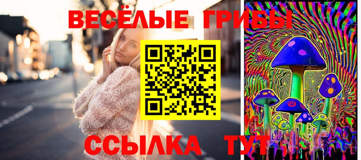 Псилоцибиновые грибы ЛСД  Вход с VPN  Апшеронск  Галлюциногенные грибы GOLDEN TEACHER 